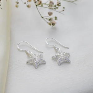 Celestial Star Web Earrings