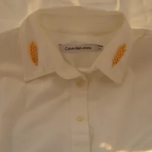 Golden Leaf Collar Pin Set